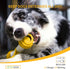 PETGEEK Interactive Dog Toys, Automatic Electronic Bones with Rechargeable USB