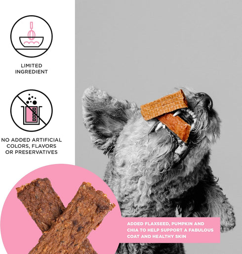 10 oz BIXBI Skin & Coat Support Salmon Jerky Dog Treats, - USA Made Grain Free Dog Treats - Antioxidant Rich to Support