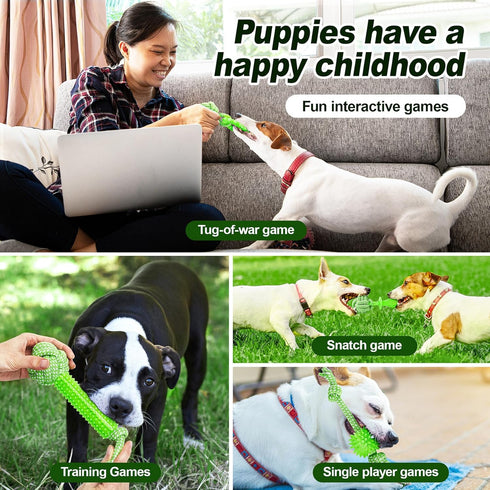 Puppy Toys 5 Pack for Energetic Puppies, Durable Chew Toys with High Density Rubber and Rope