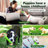 Puppy Toys 5 Pack for Energetic Puppies, Durable Chew Toys with High Density Rubber and Rope