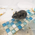 Crystal Hamster Cooling Pad, Scalable Quartz Glass Ice Crack Bed for Dwarf Hamster, Blue, M, 6 * 10cm