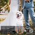 Stylish Luxurious Diamond Dog Collar, Magnetically Absorbent Clasp, Full Diamond Design for Wedding and Everyday