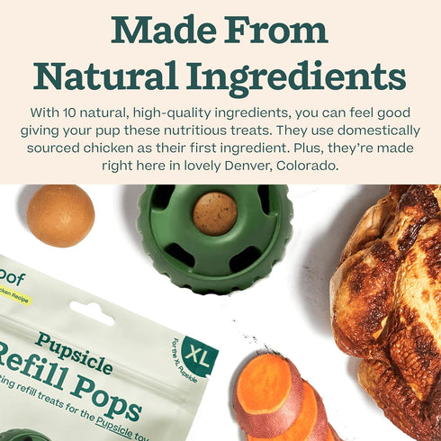 WOOF Pupsicle Refill Pops, Delicious Long Lasting Dog Treats, Natural Ingredients, Low-Mess Chicken Treats
