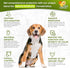 Antibiotics for Dogs | Cat Antibiotic | Pet Antibiotic | Natural Antibiotics for Cats | Dog Antibiotic | Natural Antibiotic for Dogs | Antibiotic for Cats | 2 Oz
