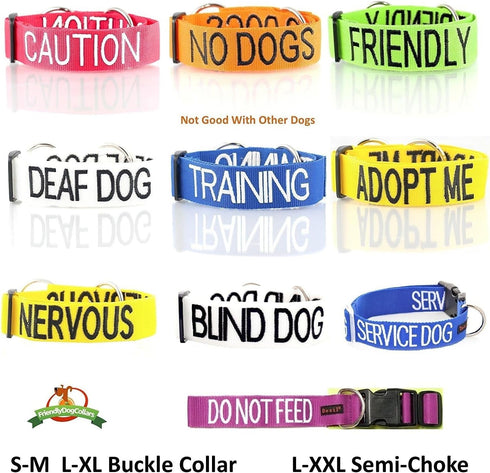Friendly Green Colour Coded Non Pull Dog Harness - L-XL, Prevents Accidents by Warning Others