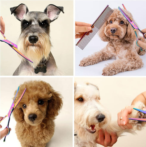 Dog Grooming Scissors Set with Safety Blunt Tip - Professional 7 in 1 Grooming Scissors for Dogs and Cats