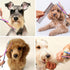 Dog Grooming Scissors Set with Safety Blunt Tip - Professional 7 in 1 Grooming Scissors for Dogs and Cats