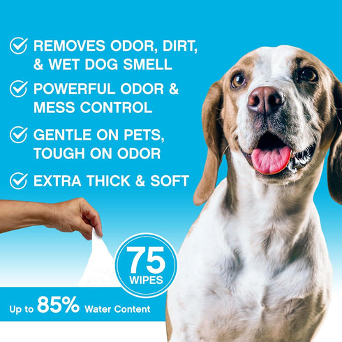 NonScents 75 Deodorizing & Cleaning Dog Grooming Wipes - Fragrance-Free Pet Wipes for Dogs, Unscented for Quick Baths