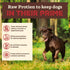 1.5 lb Primal Kibble in The Raw, Freeze Dried Dog Food, Beef, Scoop & Serve, Made with Raw Protein, Whole Ingredient