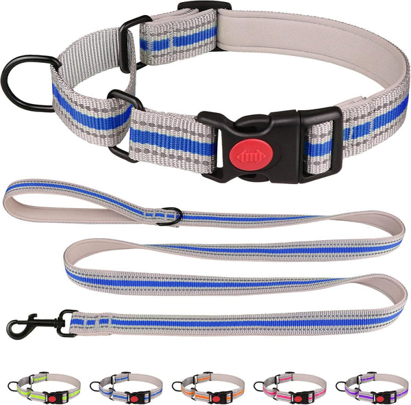 Martingale Collar for Dogs, Soft Neoprene Padded Reflective Collar and Leash Set for Large Dogs - Blue & L