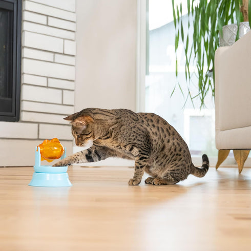 2-in-1 Catstages Spinning Fish Treat Dispenser Cat Toy, Interactive Puzzle Feeder & Cat Ball Track Add-On, Blue