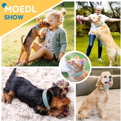Spiked Dog Collar, Blue Soft PU Leather Funny Mushrooms Rivet Spike Studded Collar for Small Medium Large Dogs Cats