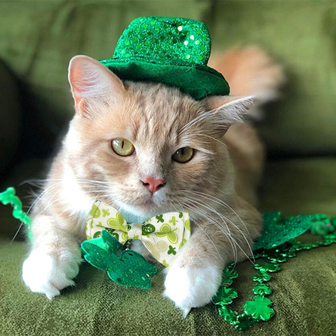 Pohshido 2 Pack St. Patrick's Cat Collar with Bow Tie and Bell, Breakaway Lucky Irish Shamrock Collar for Male and