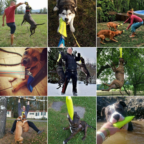 Durable Dog Bite Tug Toy 12 inches - Interactive Toys for Medium to Large Dogs - Safe Fire Hose Tug with Strong Handle