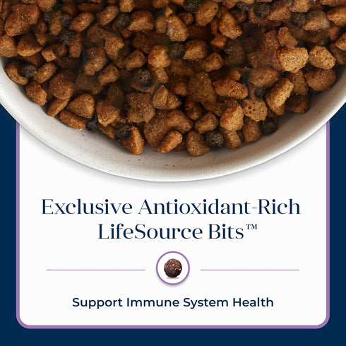 Blue Buffalo Basics Dry Dog Food for Puppies - Skin & Stomach Care, Limited Ingredient Diet for Dogs - Turkey Recipe,