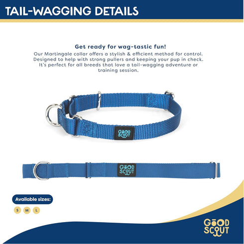 Good Scout Martingale Heavy Duty Dog Collar - Durable Slip-On Collar for Puppies & Adult Dogs, Blue, Large