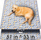 Hompet Washable Pee Pads for Dogs, 51"x33", 2-Pack Thick Heavy Absorbency Reusable,