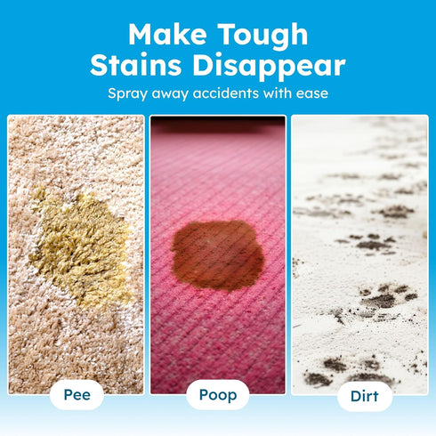 BugMD Enzyme Cleaner for Dog & Cat Urine | Pet Stain and Odor Remover for Carpet & Home | Unscented Urine Destroyer