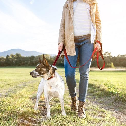 TwoEar 6FT Strong Red Dog Leash with 2 Padded Handles, Traffic Handle for Extra Control for All Dog Sizes