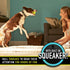 Franklin Pet Supply RSF Squeak Tennis Balls - 12 Pack Dog Toy for Small, Medium, Large Dogs, Squeaker Noise