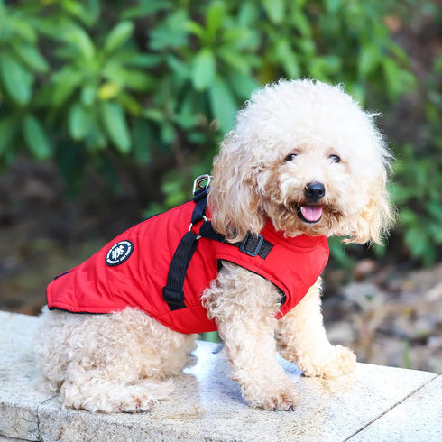 Norbi Dog Coat, Winter Jacket with Built-in Harness for Small to Large Dogs, Warm Cold Weather Coat