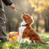 6 oz Jungle Calling Dog Treats, Chicken Wrapped Rawhide Sticks for Dogs, Delicious and Nutritious Training Reward