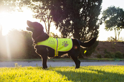 Safety Reflective Vest for Dogs - High Visibility for Outdoor Activity Day and Night