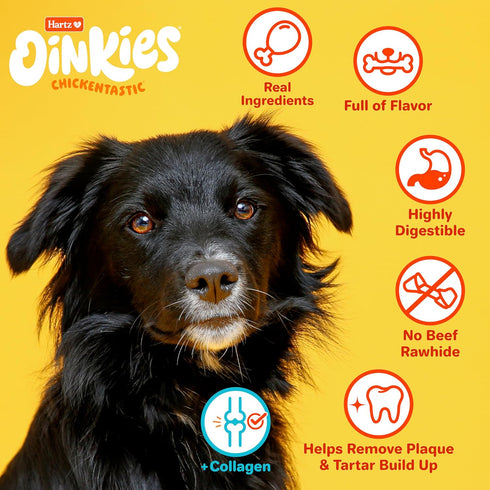 Oinkies Chickentastic Tender Twirls, 20 Count, Made with Real Chicken Breast, Pumpkin & Carrot, Collagen for Skin &