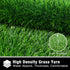 GLOBREEN Dog Grass Door Mat for Muddy Paws, 24 x 36 Inch, Indoor Outdoor Entryway Rug, Absorbent Machine Washable Turf