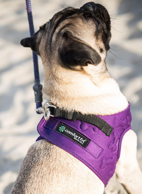 Comfort Fit Dog Harness No Pull, Adjustable Buckles, Soft Padded Reflective Step-in Vest for Small Medium Large Dogs