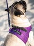 Comfort Fit Dog Harness No Pull, Adjustable Buckles, Soft Padded Reflective Step-in Vest for Small Medium Large Dogs