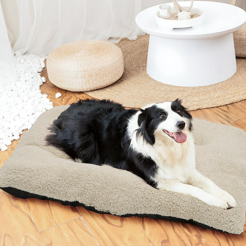 Magshion Medium Dog Bed - Non-Slip Bottom, Warming Cozy Soft Pet Sofa Bed, Machine-Washable, 34.5"x26"x5.5", Beige
