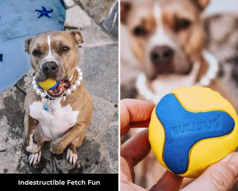 Chew Ring & Fetch Ball Combo for Aggressive Chewers | Heavy-Duty, Ultra-Durable Natural Rubber Toys for Medium to Large