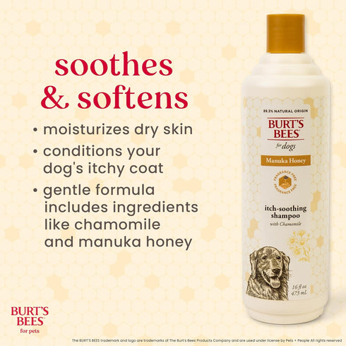 16 Oz Burts Bees for Pets Itch Shampoo with Manuka Honey and Chamomile for Dogs, Itch Relief for Dogs - Naturally