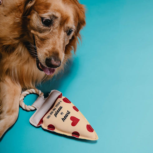 Pavilion Gift Company Stolen A Pizza My Heart Dog Toy, 13", Yellow