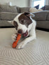 35 lbs, 1 Count Nylabone Oval Ring Flexi Chew Toy for Dogs, Flexible Dog Toys for Moderate & Gentle Chewers, Chicken