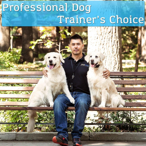 PetSpy P620 Dog Training Shock Collar, Waterproof Remote Trainer E-Collar with Vibration, Electric Shock, Beep for