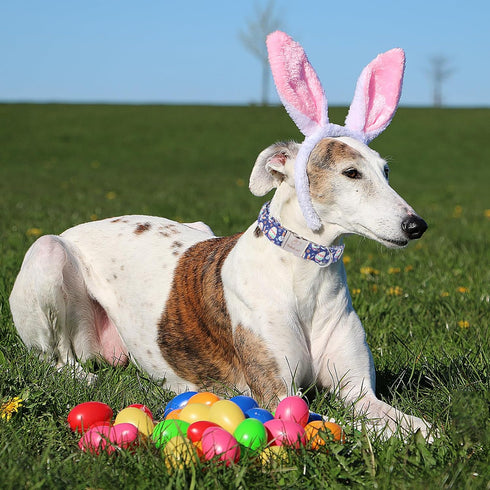 Easter Dog Collar with Egg Rabbit Design, Adjustable for Medium Dogs, Safety Metal Buckle for Small Large Boys & Girls
