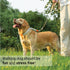 SVD.PET Dog Prong Collar for No-Pull Training, Adjustable Pinch Collar for Large Dogs (White, Large Size)