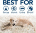 Simple Solution Pet Stain and Odor Remover | Enzymatic Cleaner with 2X Pro-Bacteria Power