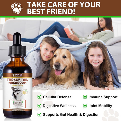 QwsYaay Immune, 60ml Turkey Tail Mushroom for Dogs, Mushroom Blend, Turmeric & Probiotic for Digestive & Joint Support