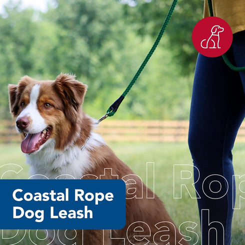 Coastal Pet Rope Dog Leash - Tangle-Free Walking - Soft-Braided Nylon - Fade-Resistant Colors with Snap Swivel Hook - Teal, 1/2" x 06'