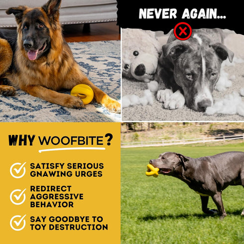 Indestructible Ring Ball for Aggressive Chewers, Non-Toxic Natural Rubber Dog Toys, Butter Scent, Yellow (4.5”)