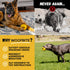 Indestructible Ring Ball for Aggressive Chewers, Non-Toxic Natural Rubber Dog Toys, Butter Scent, Yellow (4.5”)