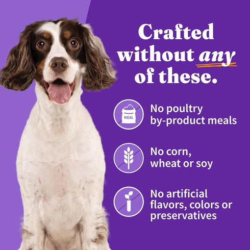 Pack, 13.2 Oz (Pack 6) Halo Wet Dog Food Variety Three Canned Whole Meat Chicken Stew, Beef Stew, Turkey & Salmon Stew