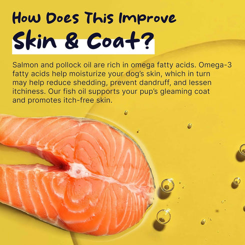 Wild Alaskan Salmon Oil for Dogs, 64 oz - Omega 3 Fish Oil Supplement for Skin and Coat, Made in USA
