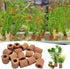 Rainmae 16 Pcs Aquatic Water Plant Fixed Rings, Ceramic Plant Pot for Water Plants Cultivation, Fish Tank Accessories