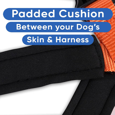 Pawtitas Reflective Dog Harness - Comfortable & Padded for Controlled Walks or Runs - XS, Orange