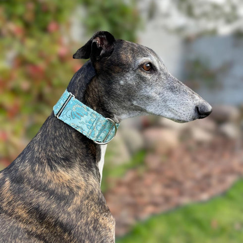 Extra Soft Martingale Dog Collar and Leash Set, 2" Wide for Greyhound Saluki Whippet and Similar Breeds (11"-14" and