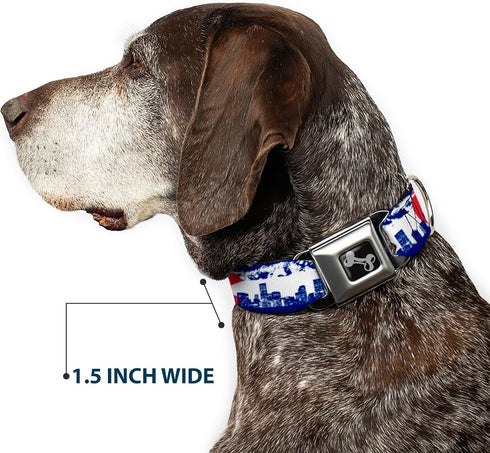 Buckle-Down 13-18" Colorado Skyline/Mountains Dog Collar, Wide Small Bone